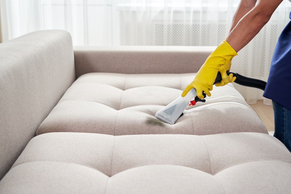 What Does A Couch Cleaner Do, What To Expect From A Professional Couch  Cleaner? 2022